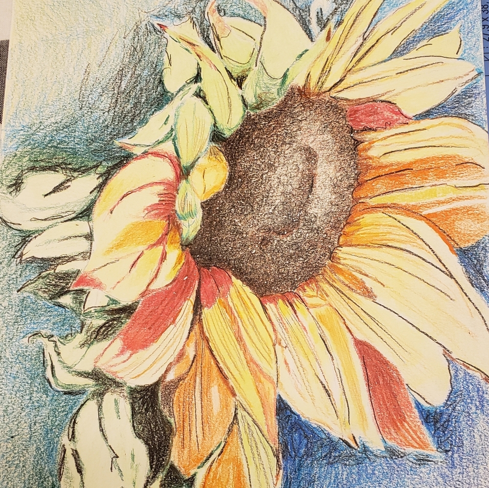 11 × 15 Original Color Pencil Drawing. Signed and